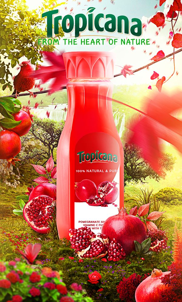 Thiết kế nhãn hiệu bao bì đẹp tại Tây Ninh